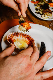 Hands preparing a gourmet scallop dish with vibrant contrasting colors - ADSF53723