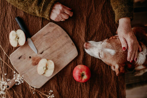 An affectionate moment in the kitchen, showcasing hands petting a dog next to a wooden cutting board with sliced apples - ADSF53742