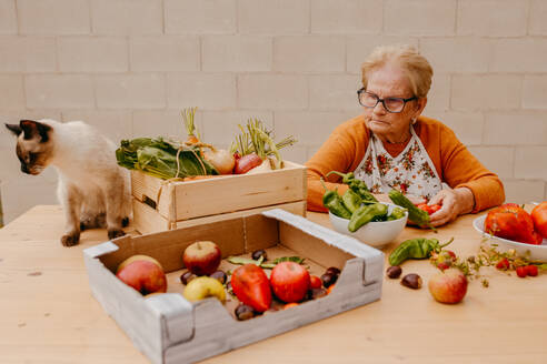 Elderly woman examining fresh produce with a curious Siamese cat by her side, symbolizing healthy eating habits and companionship - ADSF53746