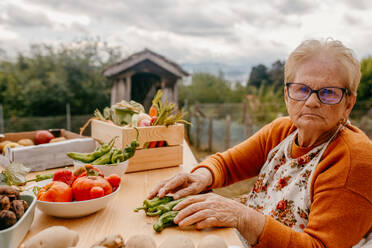A senior woman with glasses sits at a wooden table outdoors, sorting through fresh green beans with a variety of vegetables and wooden crates in the background - ADSF53751