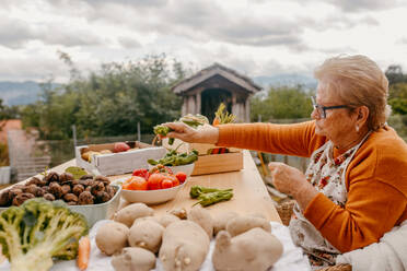 Elderly woman delightfully choosing fresh vegetables at an outdoor table with a scenic background - ADSF53752