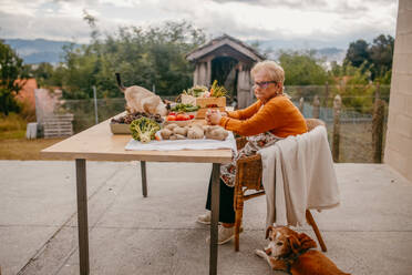 An elderly woman with glasses sits at an outdoor table adorned with fresh vegetables, accompanied by her cat and dog in a cozy home setting - ADSF53753