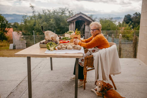 An elderly woman with glasses sits at an outdoor table adorned with fresh vegetables, accompanied by her cat and dog in a cozy home setting - ADSF53753