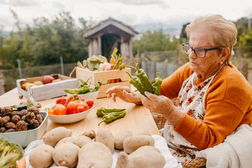 An elderly woman is carefully inspecting green chili peppers at a table laden with an assortment of fresh garden vegetables - ADSF53754