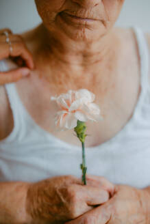 A poignant close-up of an elderly woman's hands holding a white flower, symbolizing fragility and the passage of time - ADSF53758