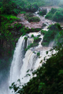 A mesmerizing view of the powerful Iguazu Falls as water cascades surrounded by the lush green forests of Northern Argentina. - ADSF54016