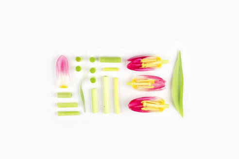 A creative, high-key studio photograph featuring an artistic arrangement of vibrant pink tulips and green stems on a pure white background. - ADSF54026
