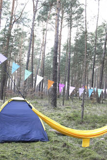 Forest campsite with tent, hammock and bunting - CMF00904