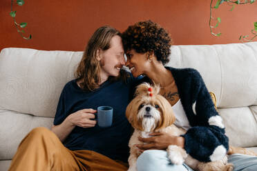 A cheerful interracial couple shares a warm, joyful moment together with their adorable small dog while sitting on a couch. The intimacy and happiness in their home setting exudes love and companionship. - JLPSF31511