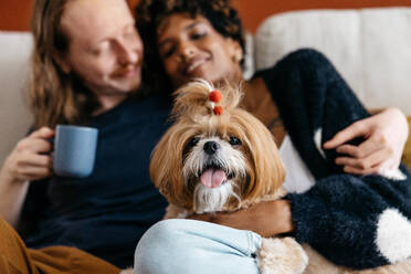 Intimate home setting captures a serene moment with a person sipping coffee and cuddling their adorable dog. Perfectly encapsulates casual comfort, pet bonding, and a relaxing atmosphere in a stylish home environment. - JLPSF31513