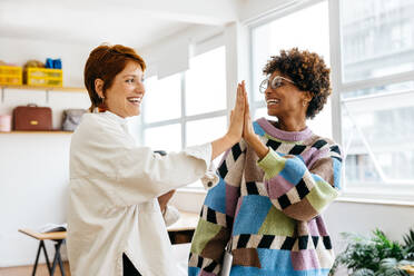 Two happy female colleagues high-fiving each other in a bright, modern co-working space, reflecting teamwork and a positive business atmosphere in a freelance office setting. - JLPSF31559