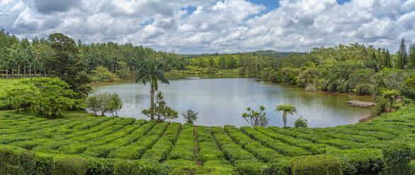 Außenansicht des Bois Cheri Tea Estate, Bezirk Savanne, Mauritius, Indischer Ozean, Afrika - RHPLF32271