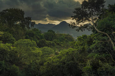 Blick auf Pieter Both und Long Mountain, Nouvelle Decouverte, Mauritius, Indischer Ozean, Afrika - RHPLF32279