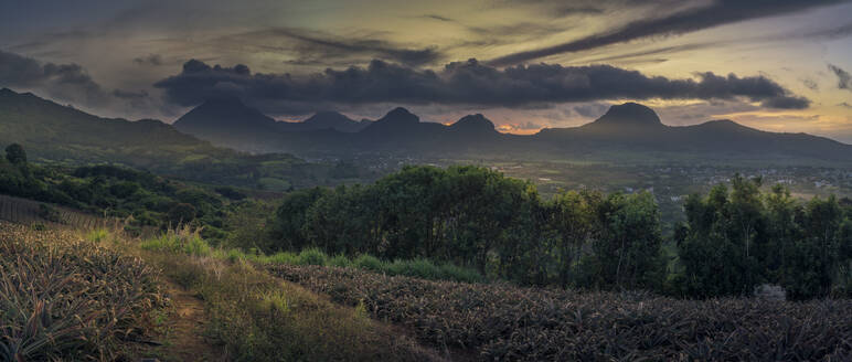 Blick auf Pieter Both und Long Mountain, Nouvelle Decouverte, Mauritius, Indischer Ozean, Afrika - RHPLF32305