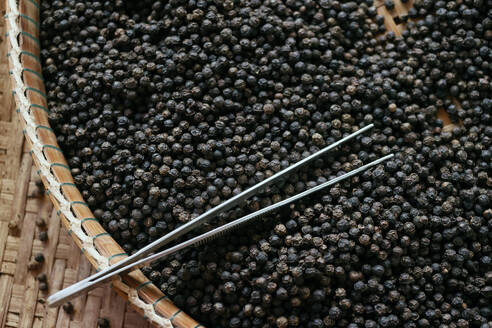 Famous Kampot black pepper, one of the best peppers in the world, Pepper farm, Kep, Cambodia, Indochina, Southeast Asia, Asia - RHPLF32365