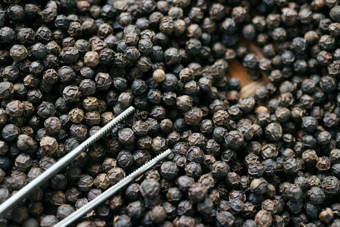 Famous Kampot black pepper, one of the best peppers in the world, Pepper farm, Kep, Cambodia, Indochina, Southeast Asia, Asia - RHPLF32366