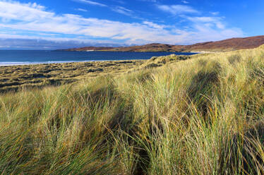 Luskentyre beach, Harris, Outer Hebrides, Scotland, United Kingdom, Europe - RHPLF32447