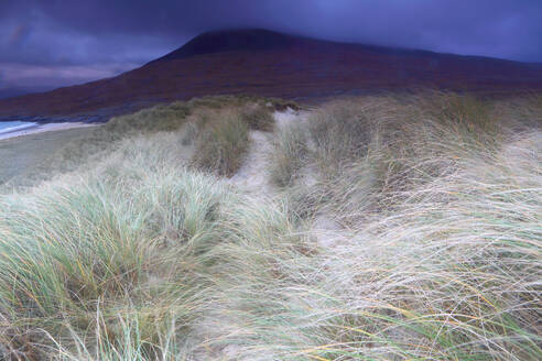 Luskentyre beach, Harris, Outer Hebrides, Scotland, United Kingdom, Europe - RHPLF32448