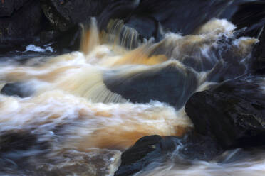 Rogie Falls, Ross-shire, Highlands, Scotland, United Kingdom, Europe - RHPLF32453