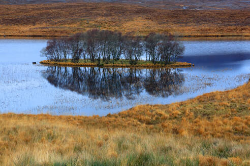 Assynt landscape, Highland, Scotland, United Kingdom, Europe - RHPLF32467