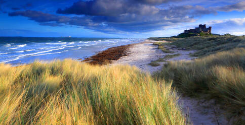 Bamburgh Castle and beach, Northumberland, England, United Kingdom, Europe - RHPLF32469