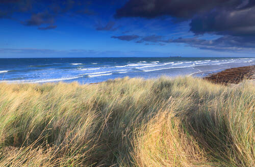 Looking towards the Farne Islands from Bamburgh, Northumberland, England, United Kingdom, Europe - RHPLF32471