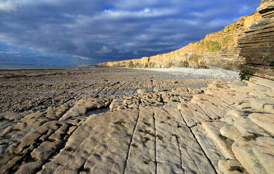 Cliffs at Nash Point, Glamorgan Heritage Coast, South Wales, United Kingdom, Europe - RHPLF32480