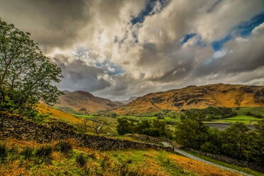 View towards the distant Langdale Pikes and Little Langdale Tarn, from the Little Langdale Valley, Lake District National Park, UNESCO World Heritage Site, Cumbria, England, United Kingdom, Europe - RHPLF32546