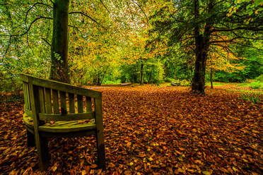 Autumn colours from Conishead Priory, Ulverston, Furness Peninsula, Cumbrian Coast, Cumbria, England, United Kingdom, Europe - RHPLF32556