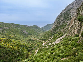 Landscape of Mount Kerkis Valley, Samos Island, North Aegean, Greek Islands, Greece, Europe - RHPLF32593