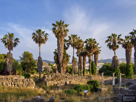 Ancient Agora at sunset, Kos Town, Kos Island, Dodecanese, Greek Islands, Greece, Europe - RHPLF32812