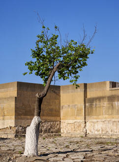 Palast des Minos, Knossos, Region Heraklion, Kreta, Griechische Inseln, Griechenland, Europa - RHPLF33028