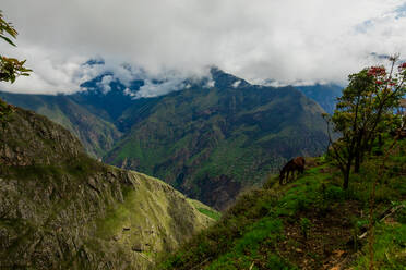 Landschaft entlang des Choquequirao-Pfades, Peru, Südamerika - RHPLF33465