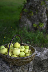 Korb mit frischen grünen Äpfeln - GISF01050