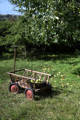 Basket of fresh apples on wooden cart - GISF01052