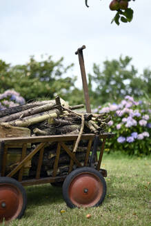 Small wooden cart filled with firewood - GISF01053