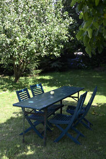 Einzelner Apfel auf grünem Gartentisch liegend - GISF01054