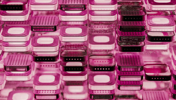 Futuristische Mikrochips mit leuchtendem rosa Licht - JPF00489