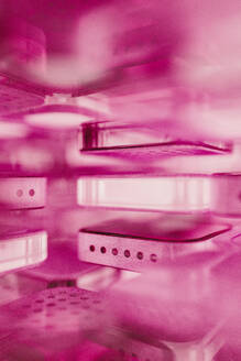 Schichten von Mikrochips mit rosa Licht beleuchtet - JPF00500