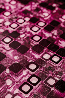 Schwarze Mikrochip-Blöcke mit rosa Beleuchtung - JPF00501