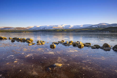 UK, Schottland, Felsbrocken am Ufer des Loch Morlich - SMAF02717