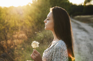 Portrait of a woman with a flower in her hands standing in a field at sunset - ALKF01111