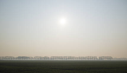 Dutch countryside near Moerdijk, on cold winters morning - MKJF00061