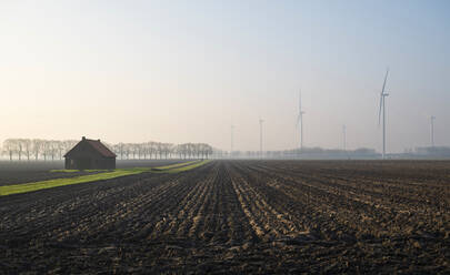 Dutch countryside near Moerdijk, on cold winters morning, new windfarm in the background - MKJF00062