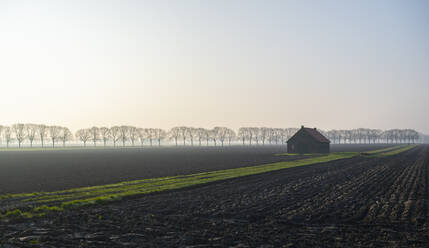 Dutch countryside near Moerdijk, on cold winters morning - MKJF00063