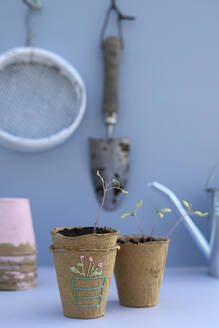 Embroidery on biodegradable flower pot with planted seedling - GISF01055