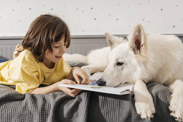 A boy lies on the bed at home with his white Swiss shepherd dog and reads a book. - ELMF00127