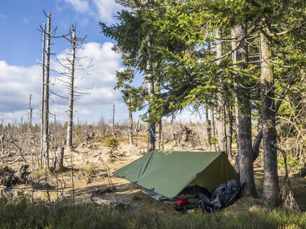 Deutschland, Bayern, Stehendes Zelt im Bayerischen Wald - HUSF00344