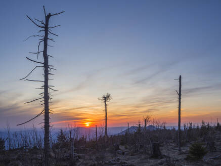 Deutschland, Bayern, Sonnenuntergang über kahlen Bäumen im Bayerischen Wald - HUSF00348