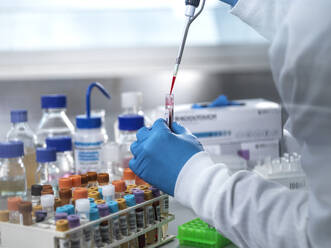 Medical testing, Scientist pipetting a sample ready for automated analysis in the lab. Blood, vial, pipetting, technican, rack of samples, haematology, automated analysis, biomedicine, biotechnology, biology, infection, illness, detection, analysis, vial, hospital tests, healthcare, medical research, pharmaceutical research, clinical trial, specimens, DNA, scientist, gloved hand, extracting, lab, experiment, lab glassware, cancer research, chemistry, pharmaceutical research. - ABRF01162